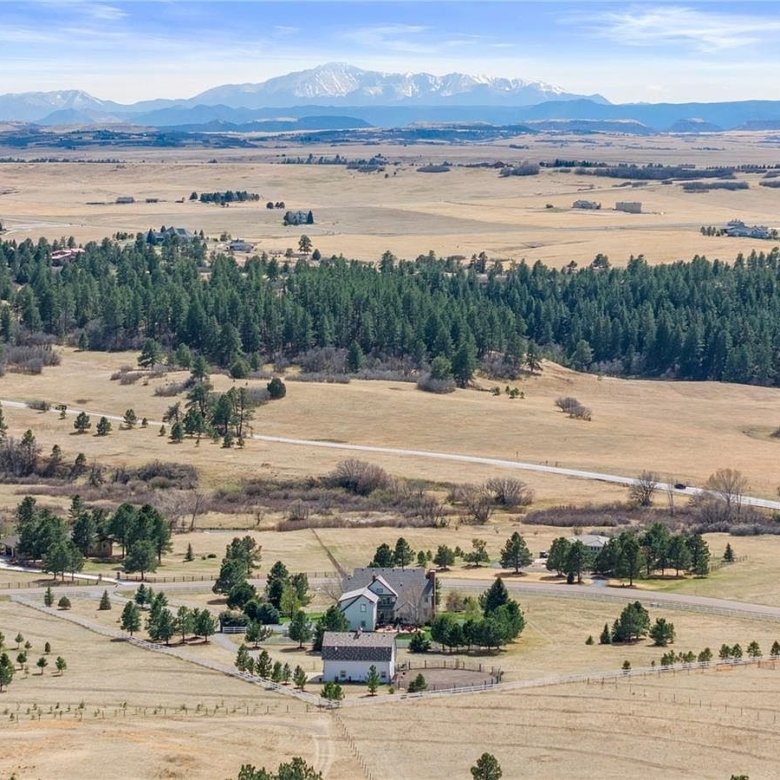 458 Grey Squirrel Way, Franktown CO 80116 - Photo 49