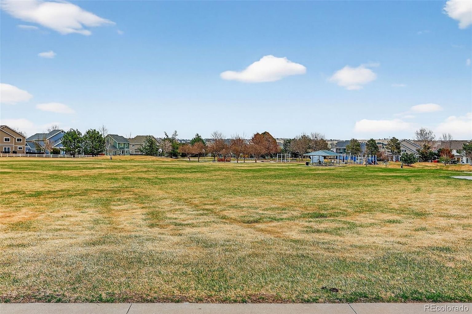 16049-brooklime-ct-parker-39