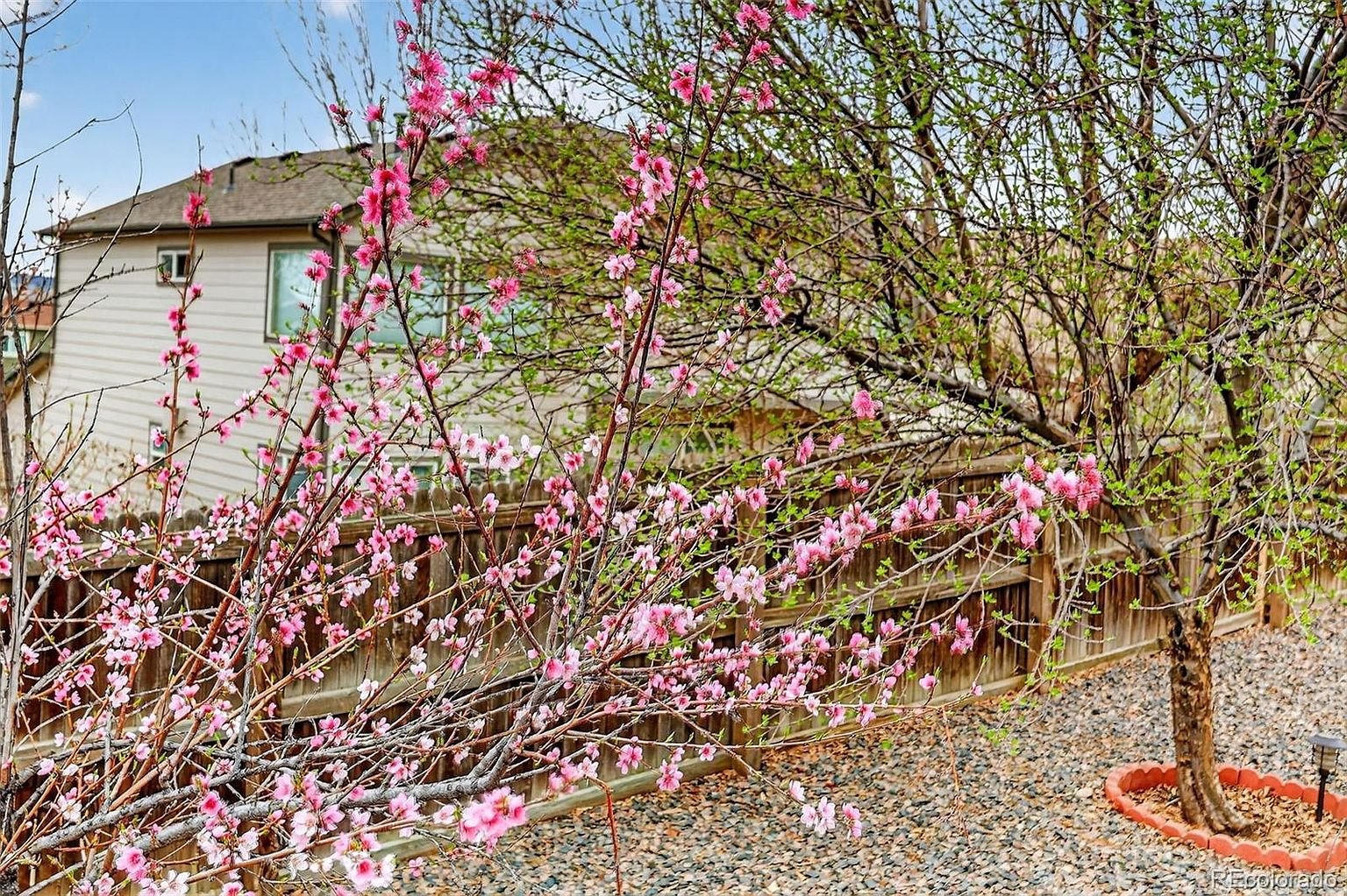 16049-brooklime-ct-parker-45