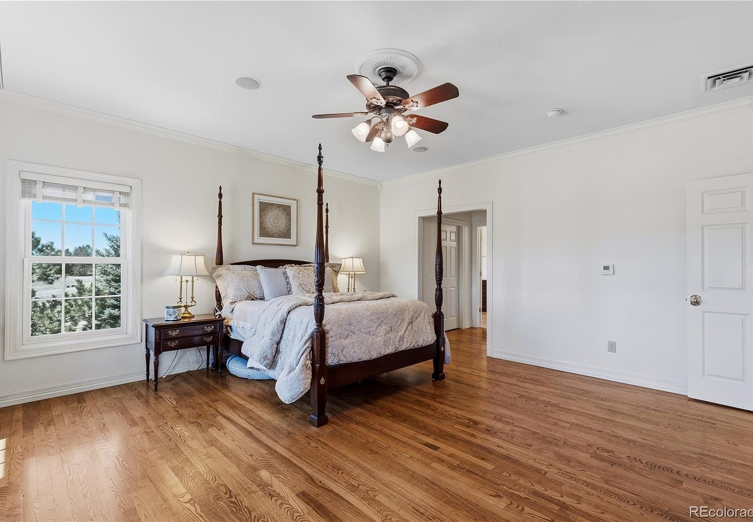 458 Grey Squirrel Way, Franktown CO 80116 - Photo 15
