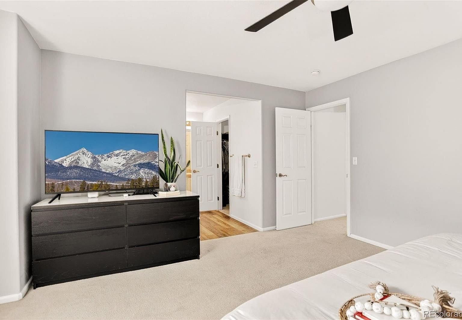 7454 S Norfolk St, Aurora, CO 80016 - Photo 12