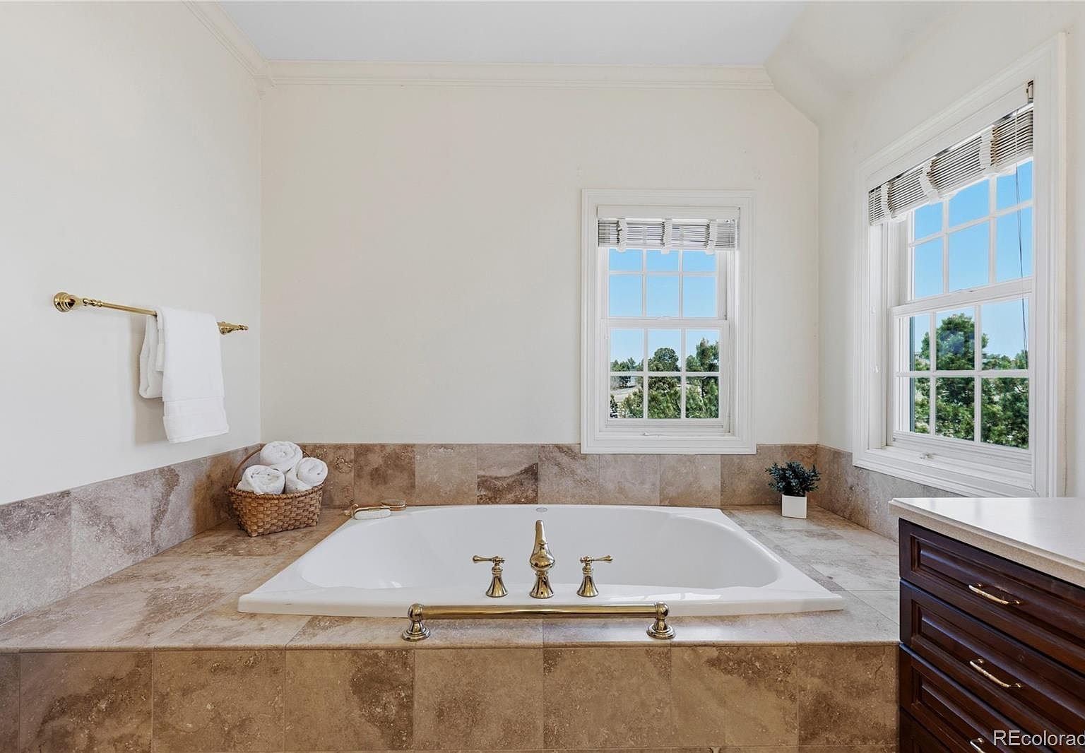 458 Grey Squirrel Way, Franktown CO 80116 - Photo 17