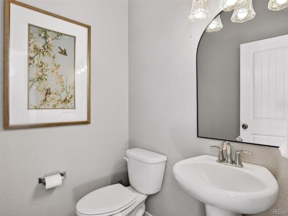 8265 Burl Wood Dr, Colorado Springs, CO 80908 - Photo 25