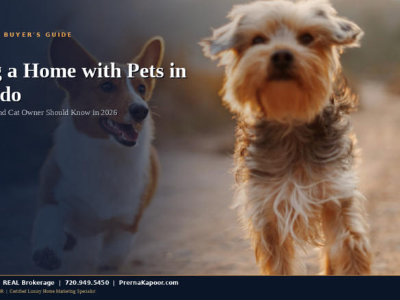 Buying a home with pets in Colorado - guide for dog and cat owners
