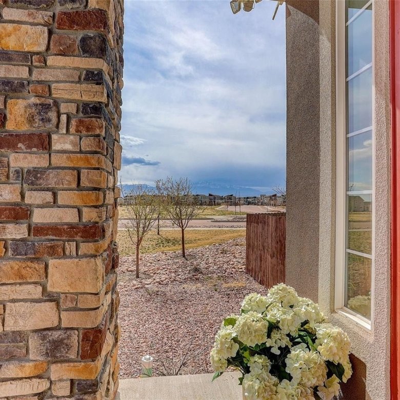 8265 Burl Wood Dr, Colorado Springs, CO 80908 - Photo 7