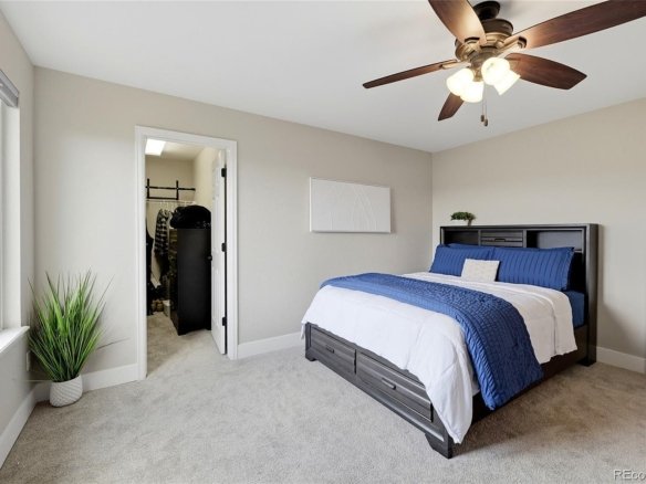 652 Cinnabar Lane, Castle Rock CO 80108 - Photo 23